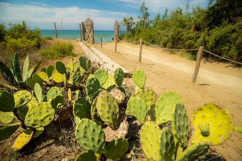 Village Oasi foto 16