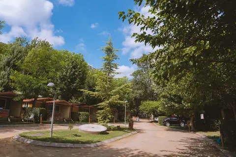 Taïga Bassegoda Park in Albanyà — foto 14