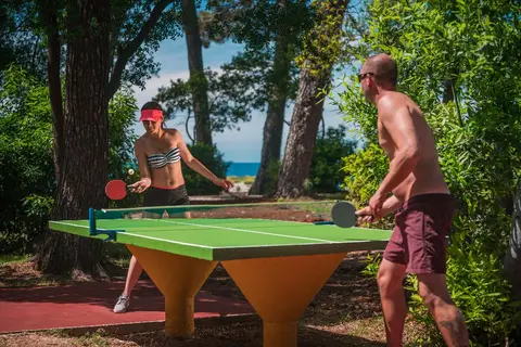 Isabella Island Resort, Valamar Collection in Porec — foto 11