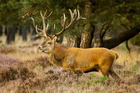 Landgoed Mennorode foto 3