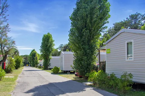 Rosapineta Camping Village foto 13