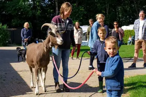 Vodatent Boerderijcamping de Hinde in Dronten — foto 6