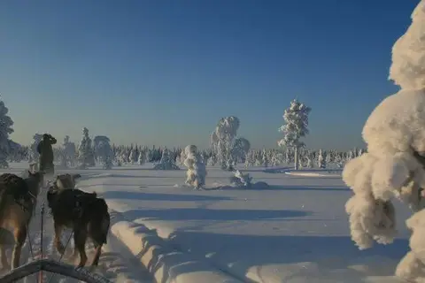5-daags Winteravontuur Levi in Fins Lapland — foto 10