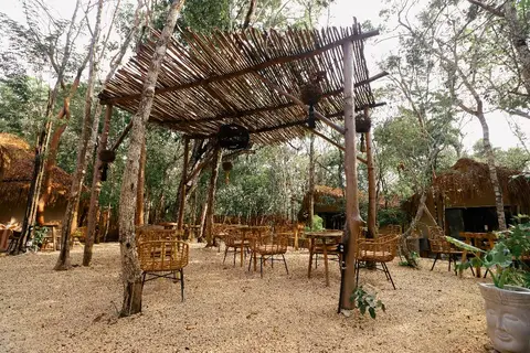 The Yellow Nest in Manuel Antonio Ay, foto 30