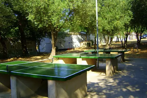 Camping Castell D Aro in Castell d'Aro, Platja d'Aro i s'Agaró — foto 7
