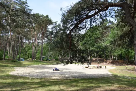 Horstmannsbos in Gasselte — foto 13