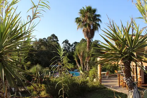 Quinta da Samoqueirinha in Odemira — foto 17