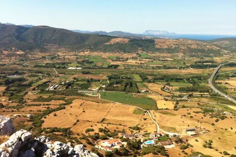 Agriturismo Su Vrau foto 3