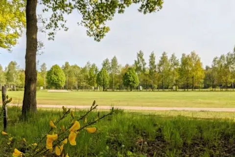 Camping de Vinkenkamp foto 28