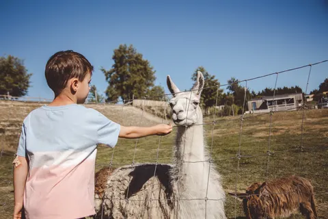 Village De La Guyonniere foto 6