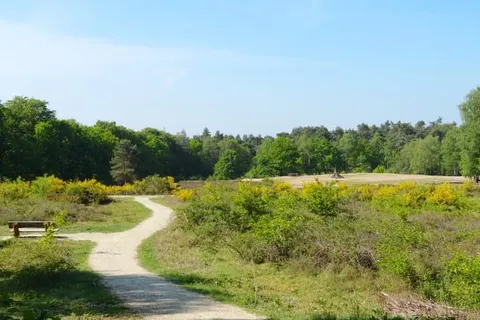 B&B Bovenweg Rhenen foto 18