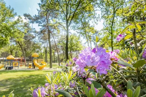 Vakantiepark De Bergen foto 24