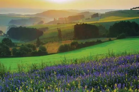 Cocoon Hotel La Rive foto 21