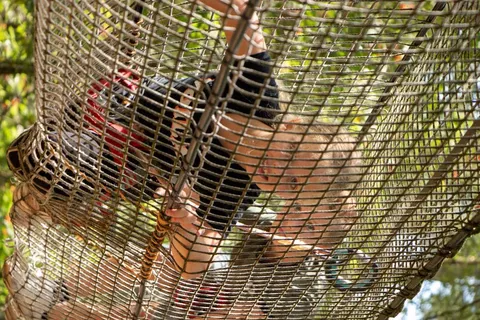 Recreatiepark De Paalberg foto 19