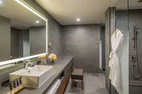 Novotel Ambassador Seoul Dongdaemun Hotels & Residences in Seoel — foto 10