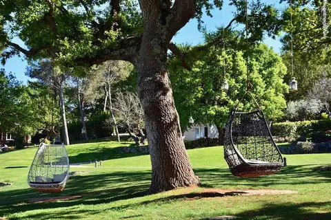 Tenuta Monacelle in Monopoli, foto 15