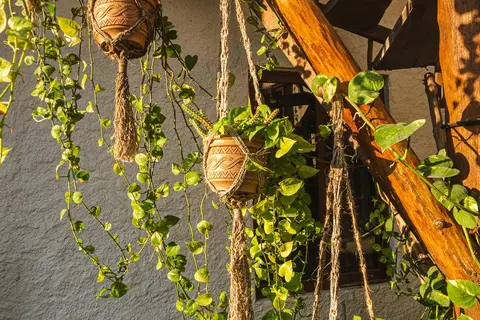 Arte Sano in Holbox — foto 8