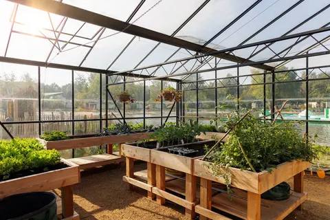 Center Parcs De Huttenheugte foto 23