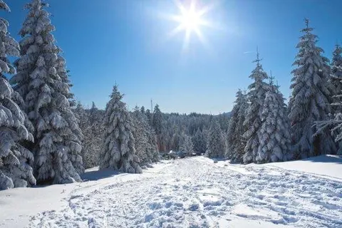 Hotel Mein Bergblick foto 30