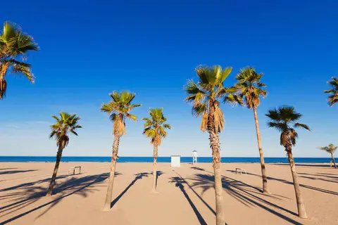 Los Robles in Gandia — foto 20