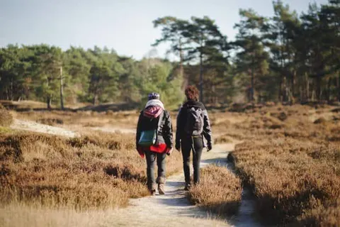 Grand Café Hotel Karsten foto 26