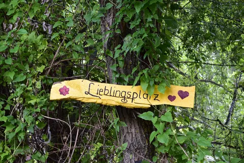 Camping Santa Monica foto 18