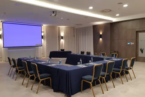 Gran Hotel Attica21 Las Rozas in Las Rozas — foto 6