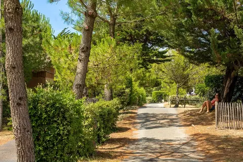 Camping De La Plage De Riez in Saint-Hilaire-de-Riez, foto 12