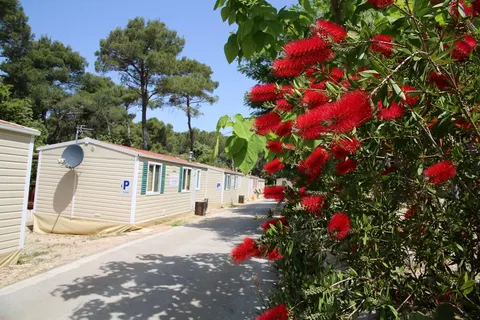 Park Soline in Biograd na Moru — foto 3