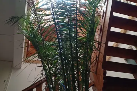 Riad Dar Zaya in Rabat — foto 13