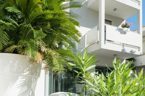 The One in Rome — foto 19
