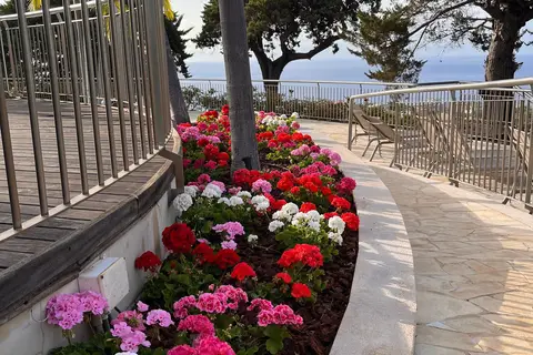 Quinta Funchal Gardens - Adults Only in Funchal — foto 18