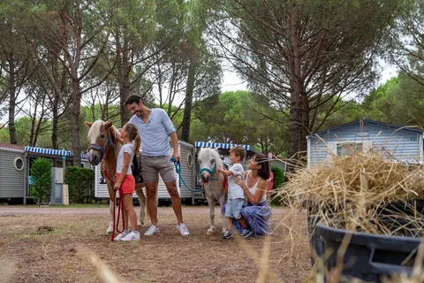 Camping L Estanquet foto 14