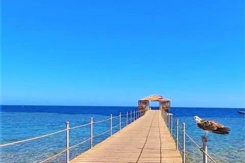 Rohanou Beach Resort & Ecolodge in القصير — foto 16
