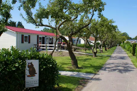 Camping In De Bongerd foto 5