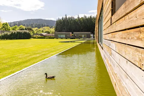 Furnas Lake Forest Living in Povoação — foto 10