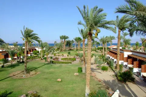 Nuweiba Club Resort in نويبع — foto 18