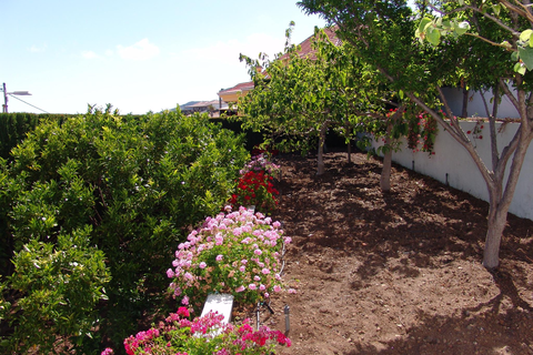 Casa Azano - inclusief huurauto foto 11