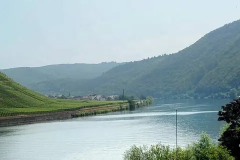 Hotel zum Moselstrand foto 13