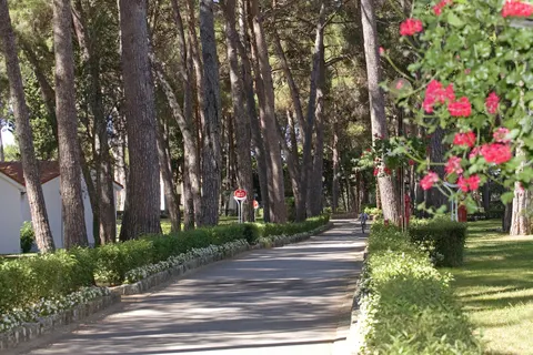 Vakantiepark Galijot Plava Laguna foto 4