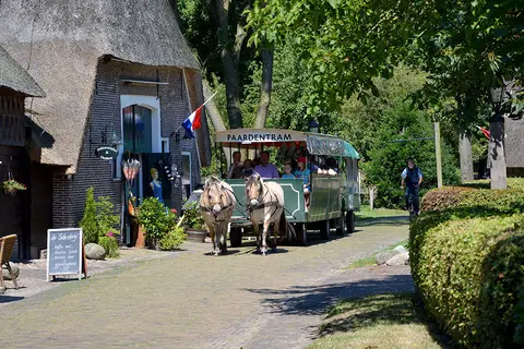 Camping De Reeënwissel in Hoogersmilde — foto 14