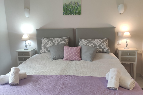 Appartementen Artemis foto 7