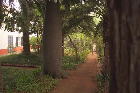 Quinta da Bela Vista in Funchal — foto 13