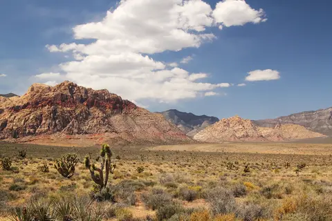 Western Highlights in West-Amerika, Californië, Nationale Parken en Las Vegas — foto 15