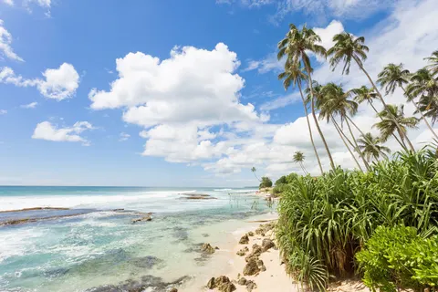 Rondreis Hoogtepunten van Sri Lanka in Rondreizen Sri Lanka — foto 15