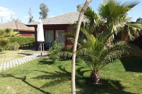 Alannia Costa Blanca in Albatera — foto 15