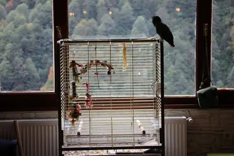 Ayder Doga Resort in Çamlıhemşin — foto 29