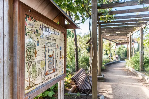 Camping Cala Llevado foto 19