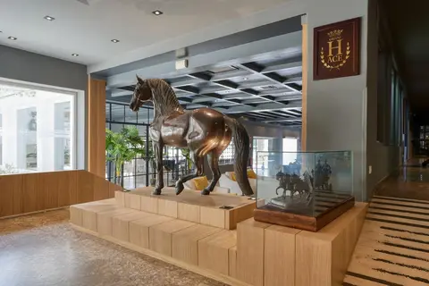 Hotel Jerez & Spa in Jerez De La Frontera — foto 8