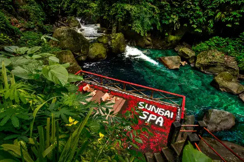 Nandini Jungle Resort & Spa in Payangan — foto 4
